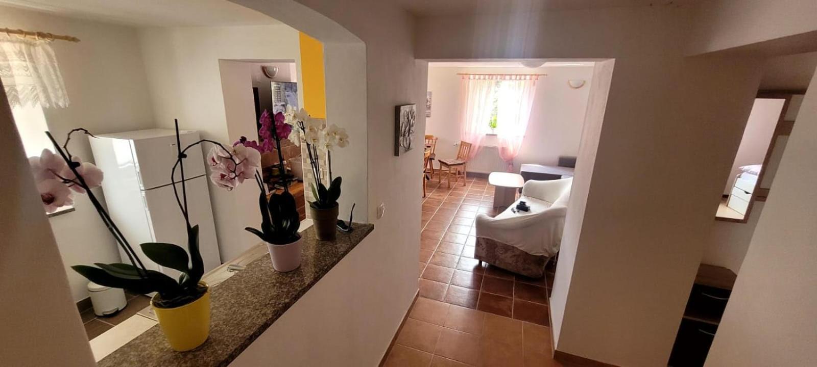 Apartma Brin Bovec Exterior photo